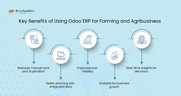 Key Benefits of Using Odoo ERP for Farming and Agribusiness 